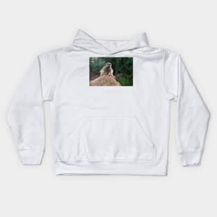 Meerkat King Of The Castle Kids Hoodie